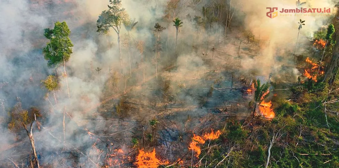 Ilustrasi Jambi Satu