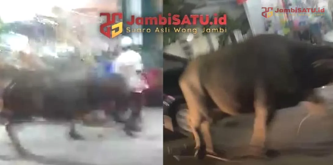 Ilustrasi Jambi Satu